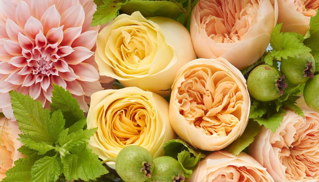 A Guide to Flower Delivery in Chicago