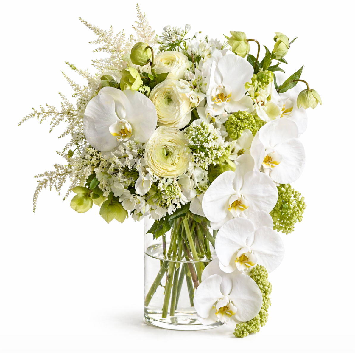 Ivory Garden