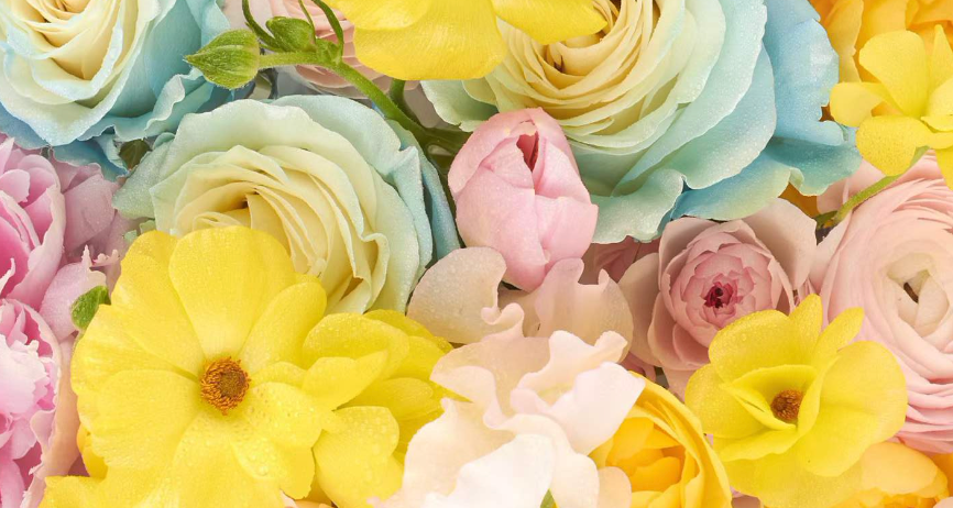 Best Birthday Flowers in Chicago: A Local Florist's Guide to Choosing the Perfect Bouquet