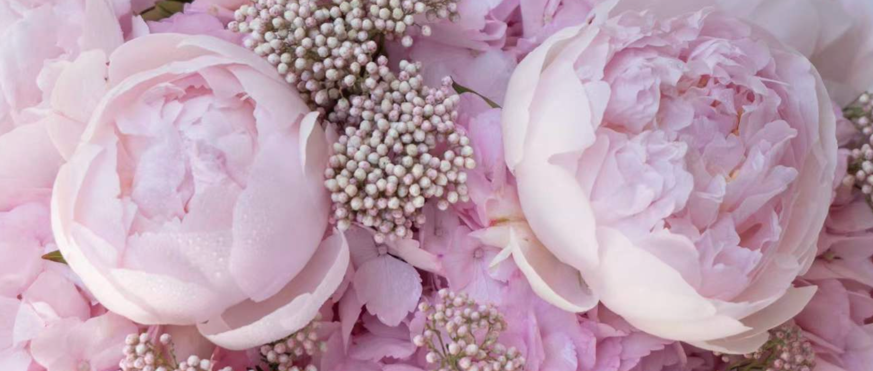 Why Every Woman Seems to Love Peonies (And What to Choose When They're Out of Season)
