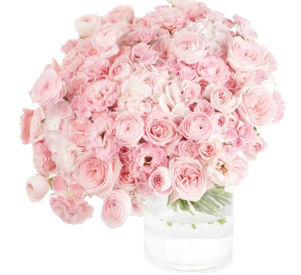 Blush Classic