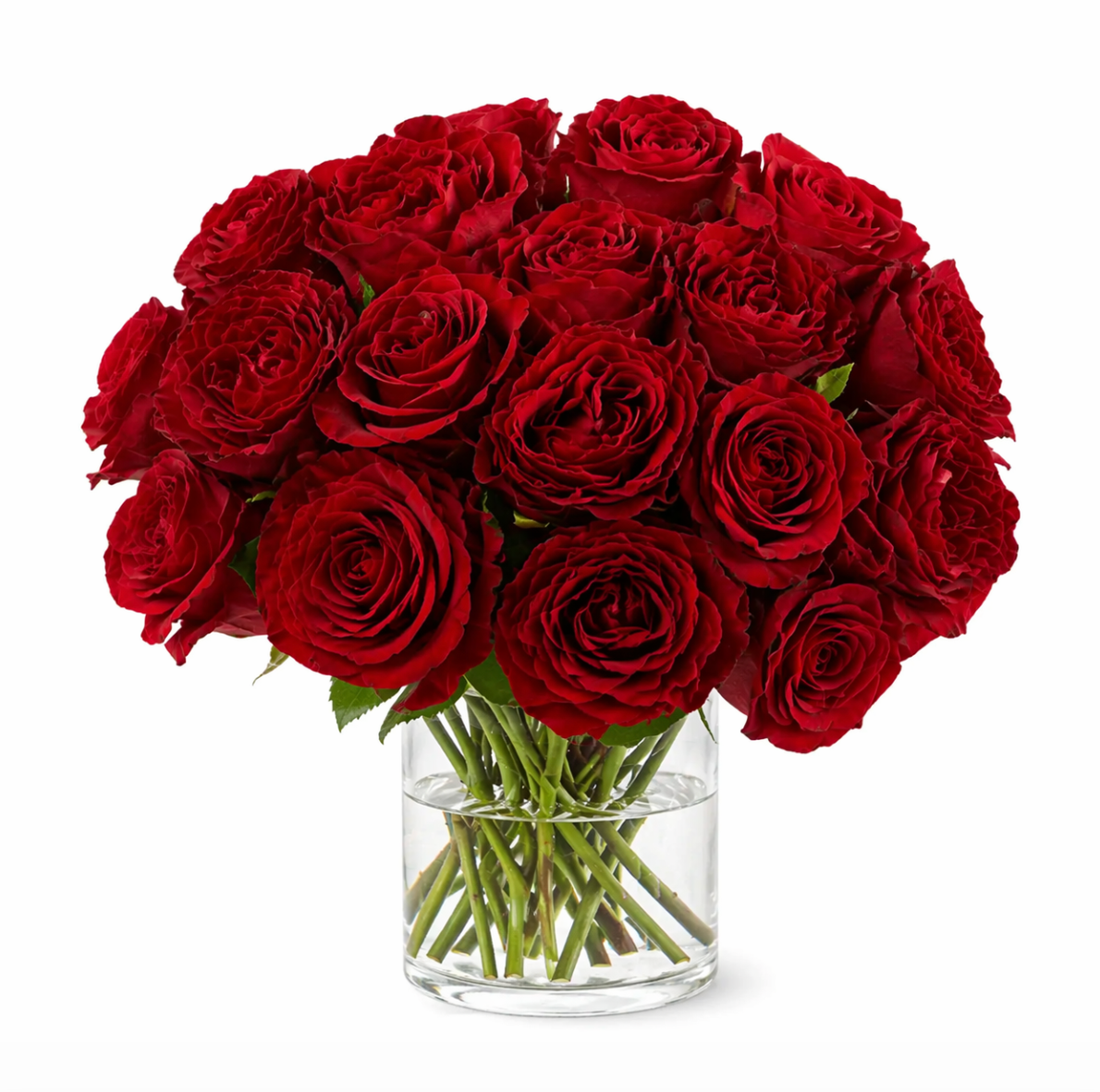 Pure Roses