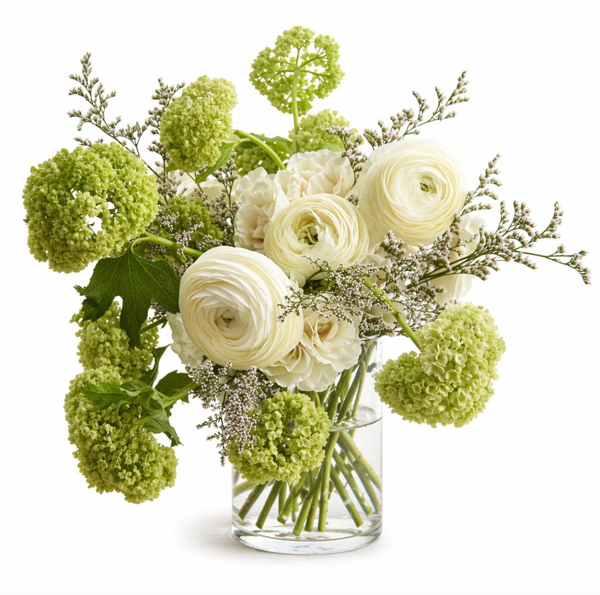 Ivory Classic