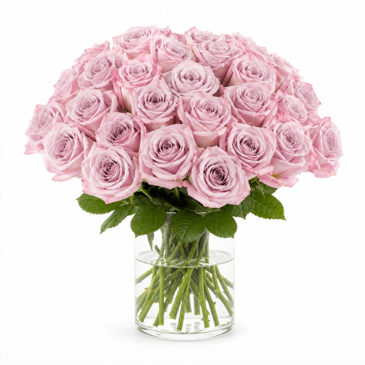 Pure Roses