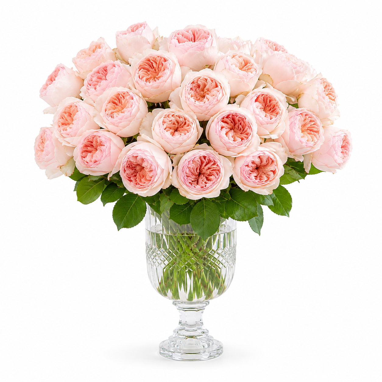 Graden Roses